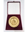 Rotary International Medal commemorating the founding of the first Rotary Club in Chicago on February 23, 1905