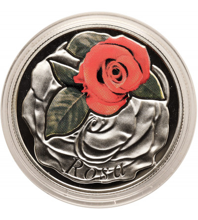 Belarus. 10 Roubles 2013, Rose, series: Beauty of Flowers - Proof