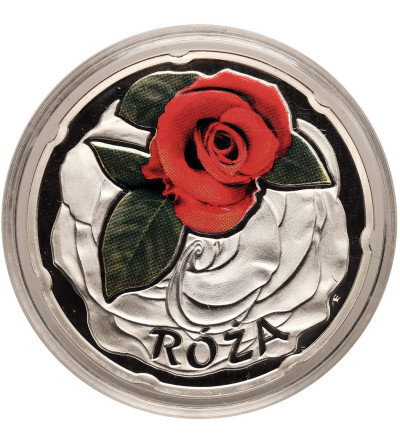 Poland. Silver Medal, Rose, series: Beauty of Flowers - Proof