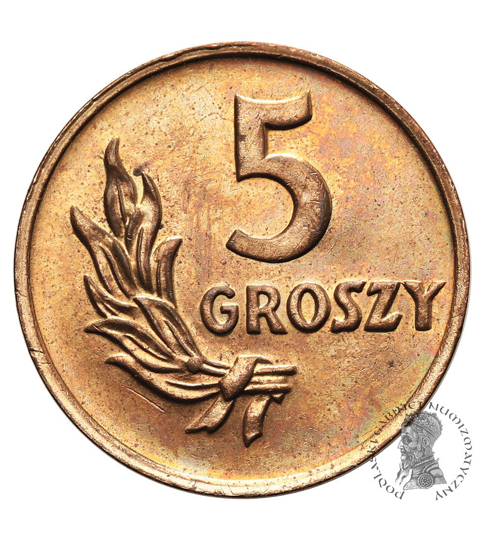 Polska, Rzeczpospolita Polska (1944 - 1952). 5 groszy 1949, brąz