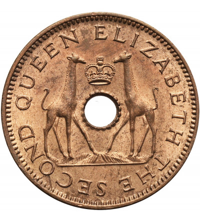 Rhodesia & Nyasaland. 1/2 Penny 1957