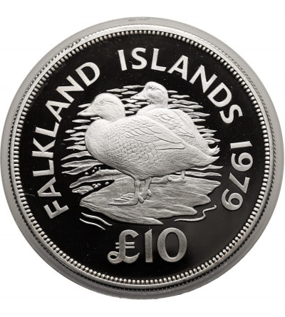 Falkland Islands, Elizabeth II (1952-2022). 10 Pounds 1979, Flightless Steamer Ducks (Tachyeres) - Proof