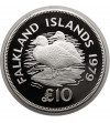 Falkland Islands, Elizabeth II (1952-2022). 10 Pounds 1979, Flightless Steamer Ducks (Tachyeres) - Proof
