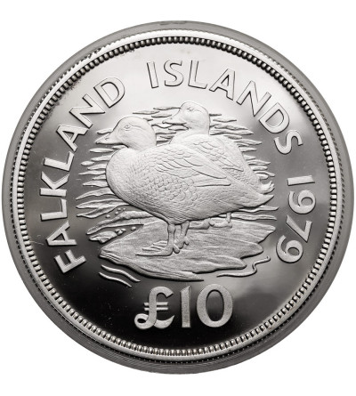 Falkland Islands, Elizabeth II (1952-2022). 10 Pounds 1979, Flightless Steamer Ducks (Tachyeres) - Proof