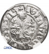 Armenia, Levon I 1199-1219 AD. AR Tram bez daty, mennica Sis - NGC MS 64