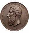 Belgia, Leopold II (1865-1909). Medal 1873 upamiętniający serdeczne przyjęcie członków Instytutu Żelaza i Stali