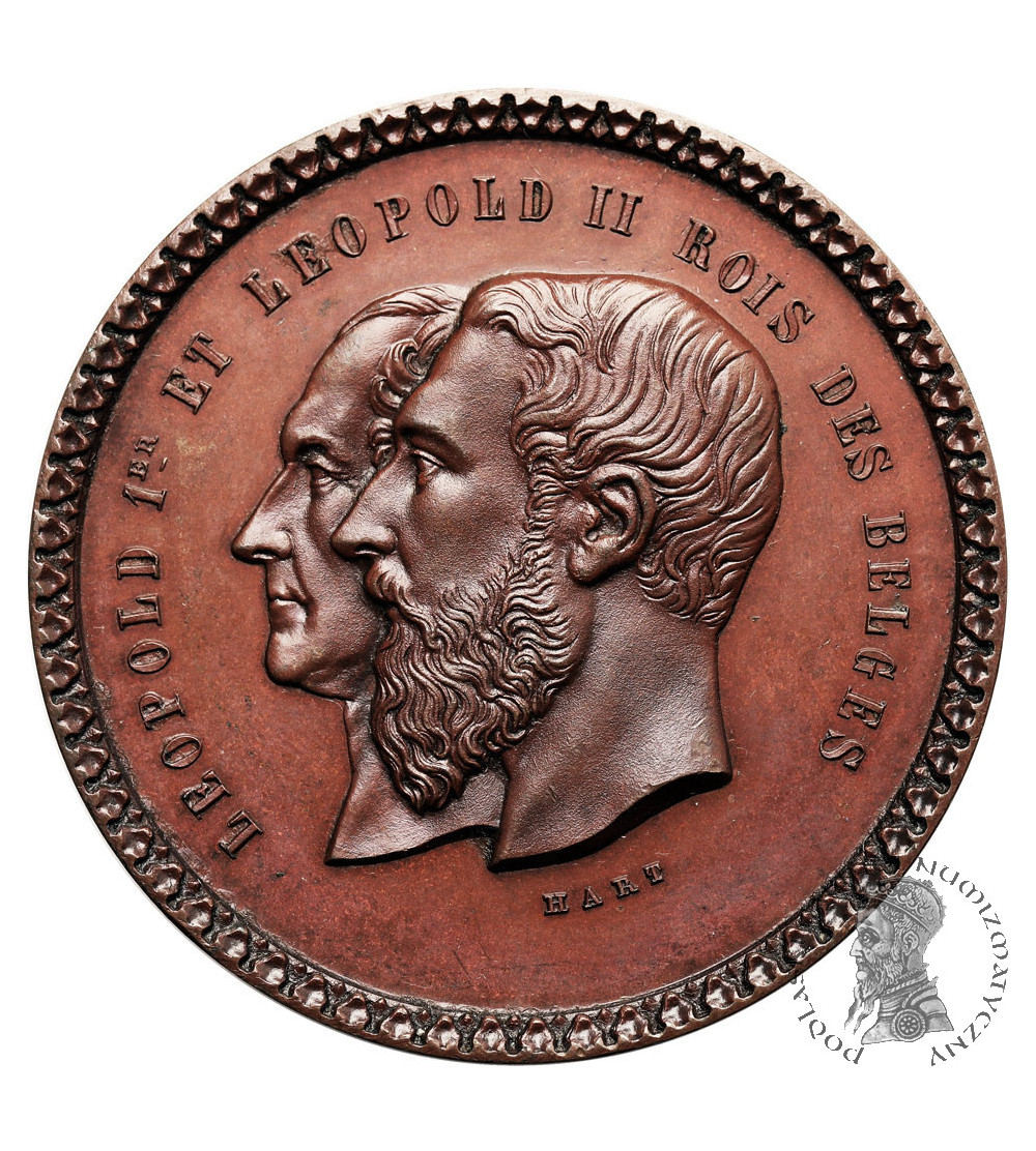 Belgium, Hainaut, Leopold II (1865-1909). Medal 1880 commemorating the 50th anniversary of Independence Belgium, Hainaut, Leopold II (1865-1909). Medal 1880 commemorating the 50th anniversary of Independence