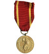 Poland. Medal for Warsaw, RP Obrońcom, Bojownikom, Oswobodzicielom (Poland to Defenders, Fighters, Liberators)