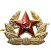 Russia, Soviet Union (U.S.S.R.). M69 cockade badge, Red Star