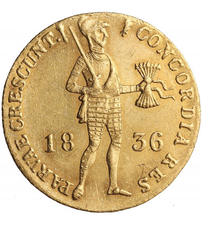Holandia. Niderlandy Królestwo, Wilhelm I 1815-1840. Dukat (Gouden Dukaat) 1836, Utrecht (pochodnia)