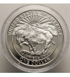 USA. 1 Dollar 1999 P, Philadelphia, 125th Anniversary of Yellowstone - Proof