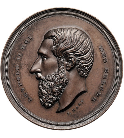 Belgium, Leopold II (1865-1909). Medal commemorating the Agricultural Society of the North, P. Hart