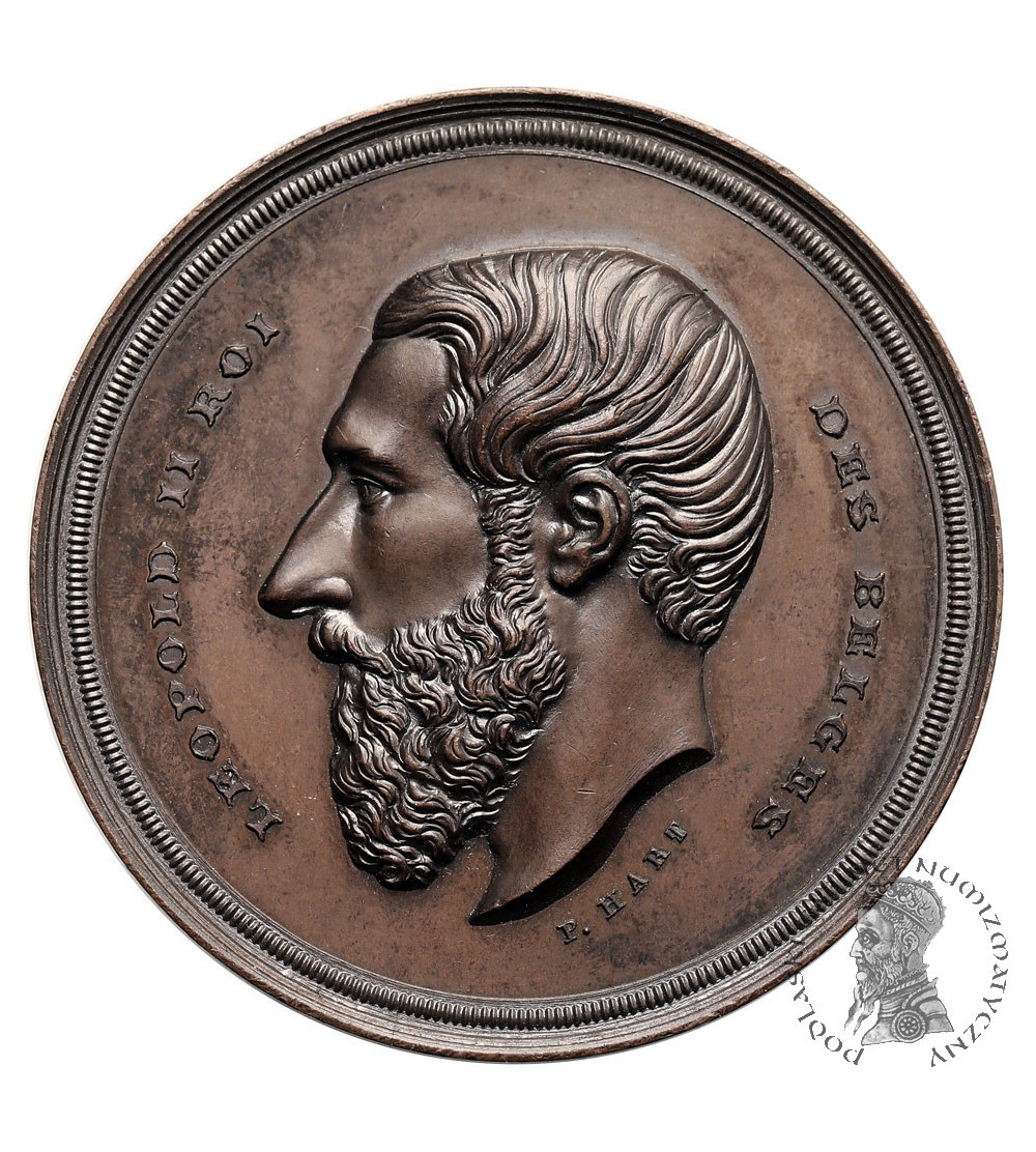 Belgium, Leopold II (1865-1909). Medal commemorating the Agricultural Society of the North, P. Hart