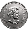 Canada, Elizabeth II (1952-2022). 1 Dollar 2004, 400th anniversary of the first European settlement in Canada