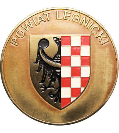 Poland. Uniface medallion Legnica County