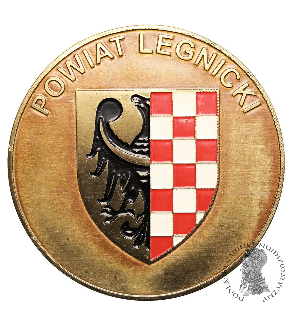 Poland. Uniface medallion Legnica County Poland. Uniface medallion Legnica County