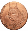 Poland. Medal Lynx, Regional Directorate of State Forests, Krosno, Bieszczady Mountains Poland. Medal Lynx, Regional Directorate of State Forests, Krosno, Bieszczady Mountains
