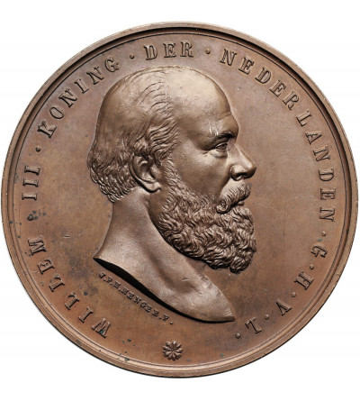 Netherlands, William III (1849-1890). Posthumous medal of the king, 1890