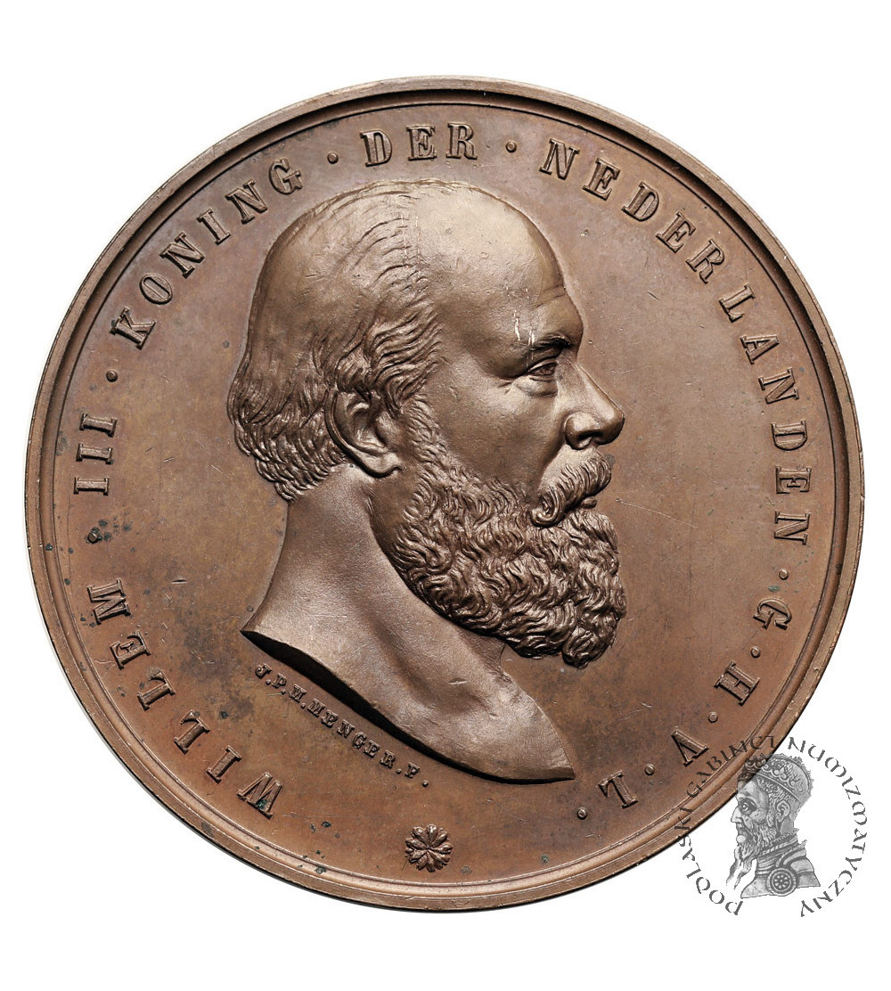 Netherlands, William III (1849-1890). Posthumous medal of the king, 1890