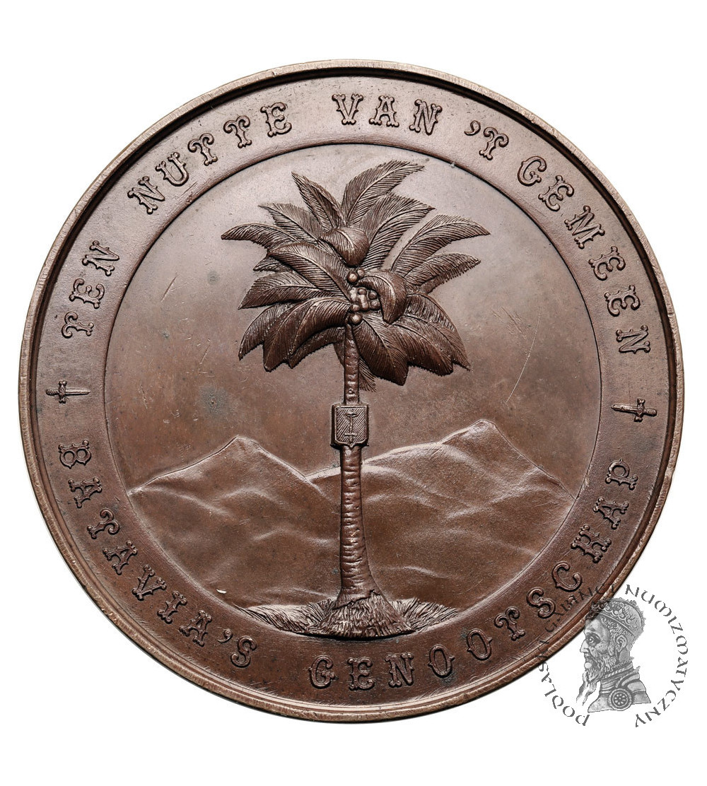 Dutch East Indies (Indonesia), William III (1849-1890). Medal 1878 commemorating the centenary of the Royal Batavian Society