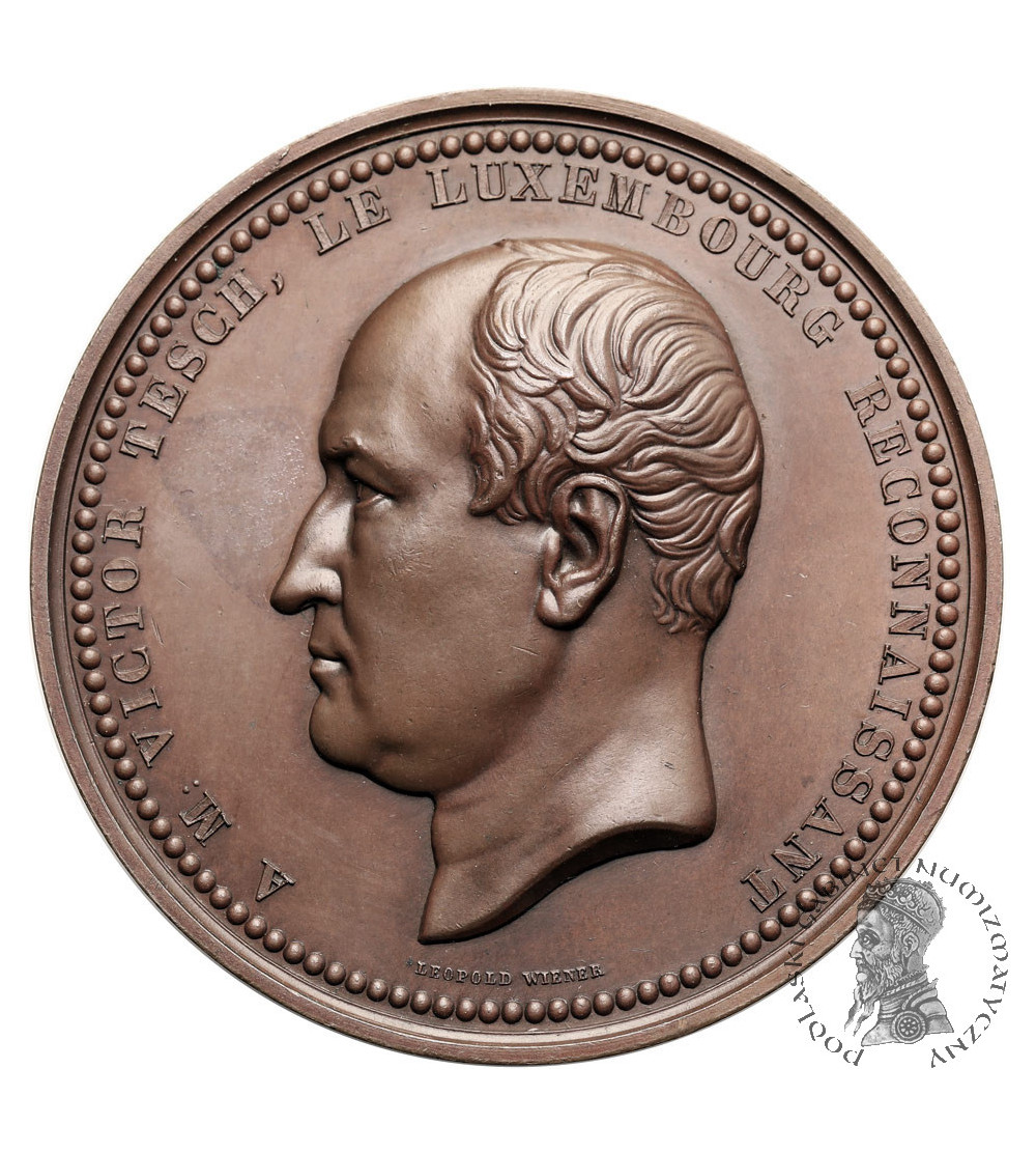 Luxembourg, William III (1849-1890). Medal 1858 commemorating the opening of the railway line in Luxembourg, Victor Tesch