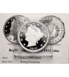 USA. Replika Liberty Head z 1913 roku