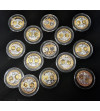 Poland. Collection “Commemorative Issue of the Common Currency of the Eurozone Countries”, 14 pcs, Silver and Gold plated medals