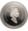 copy of Canada, Elizabeth II (1952-2022). 1 Dollar 1989, Mackenzie River, Collection: “Canadian Silver Dollars”