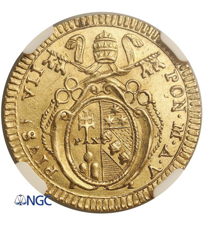 Państwo Kościelne / Watykan. Pius VII, 1800-1823. Złota Doppia, AN V (1804/5), mennica Rzym - NGC MS 62