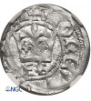 Poland. Ladislaus Jagiello 1386–1434. Half Groschen ND (ca. 1412-1414), Cracow - NGC MS 64