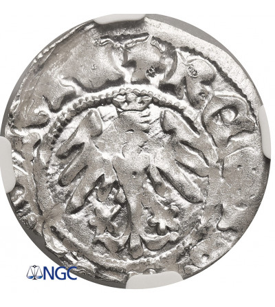 Polska. Władysław Jagiełło 1386–1434. Półgrosz bez daty (ok. 1412-1414), Kraków - NGC MS 64