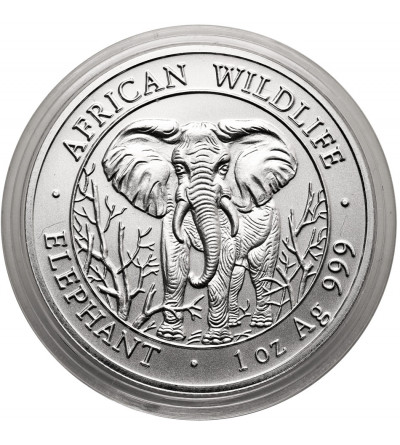 Somalia. 1000 szylingów 2004, słoń afrykański - 1 Oz Ag .999