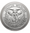 Somalia. 1000 szylingów 2004, słoń afrykański - 1 Oz Ag .999
