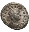 Rzym Cesarstwo. Tacyt, 275-276 AD. BI Antoninian, 276 AD