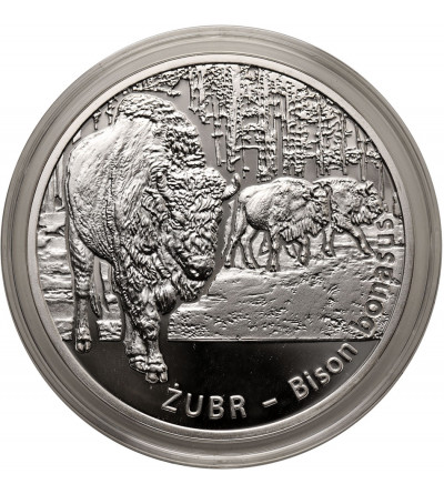 Poland. 20 Zlotych 2013, European bison (Bison bonasus), Animals of the World series - Proof