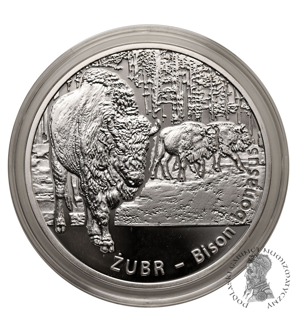 Polska. 20 złotych 2013, Żubr (Bison bonasus), seria Zwierzęta Świata