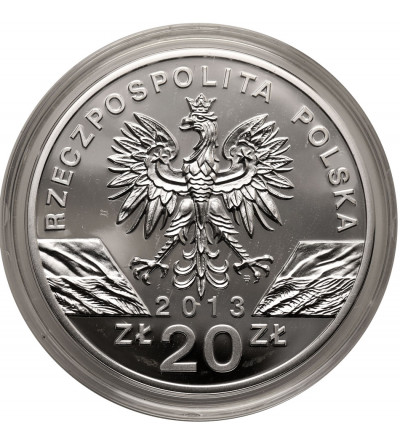 Poland. 20 Zlotych 2013, European bison (Bison bonasus), Animals of the World series - Proof