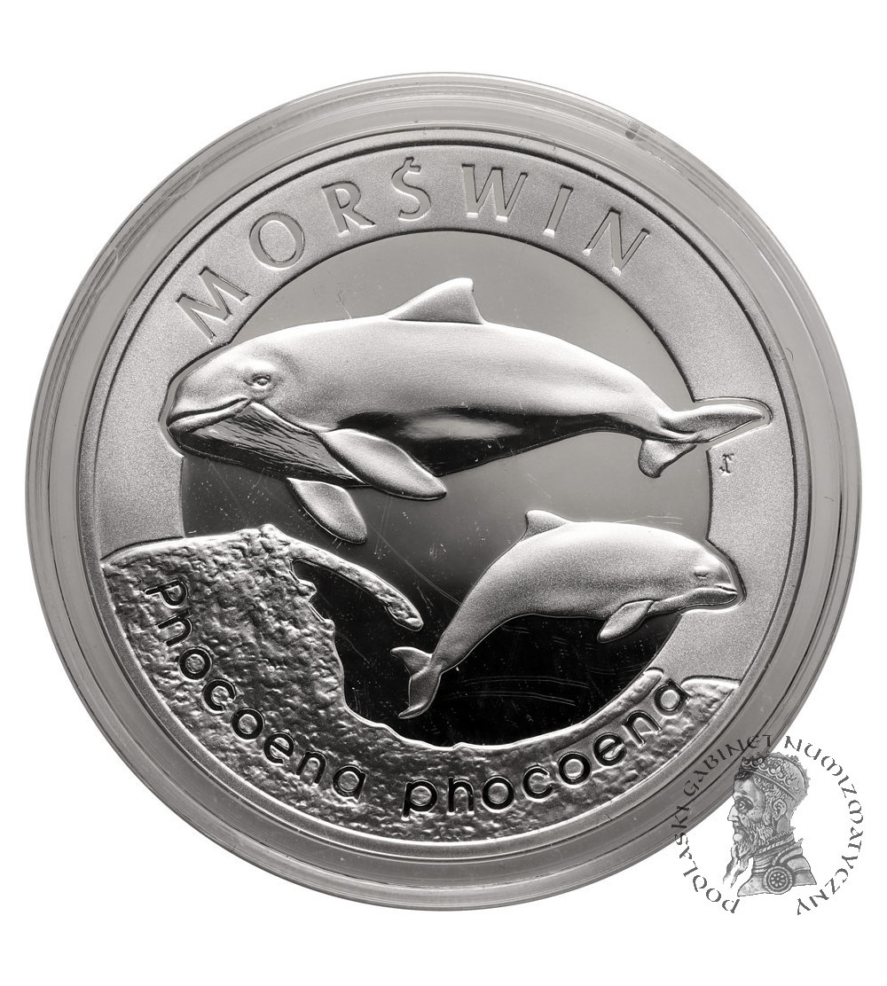 Polska. 20 złotych 2004, Morświn (Phocoena phocoena) - Proof