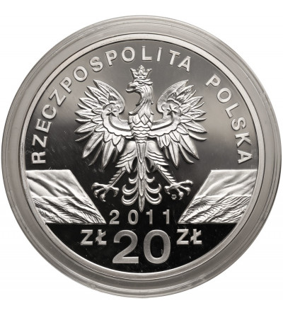 Polska. 20 złotych 2011, Borsuk (Meles meles) - Proof