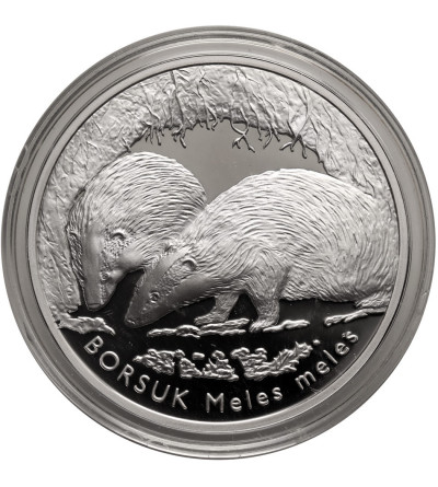 Polska. 20 złotych 2011, Borsuk (Meles meles) - Proof