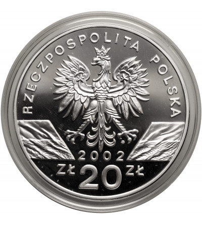 Polska. 20 złotych 2002, Żółw błotny (Emys orbicularis) - Proof