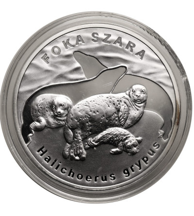 Poland. 20 Zlotych 2007, Grey seal (Halichoerus grypus) - Proof