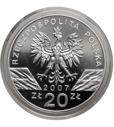 Poland. 20 Zlotych 2007, Grey seal (Halichoerus grypus) - Proof