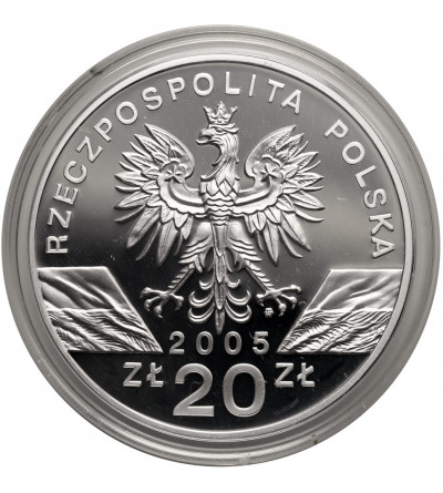 Polska. 20 złotych 2005, Puchacz (Bubo bubo) - Proof