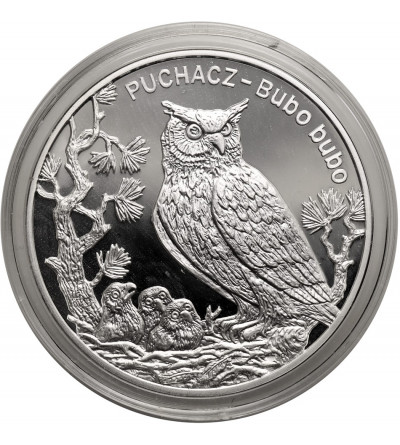 Poland. 20 Zlotych 2005, Eurasian eagle owl (Bubo bubo) - Proof