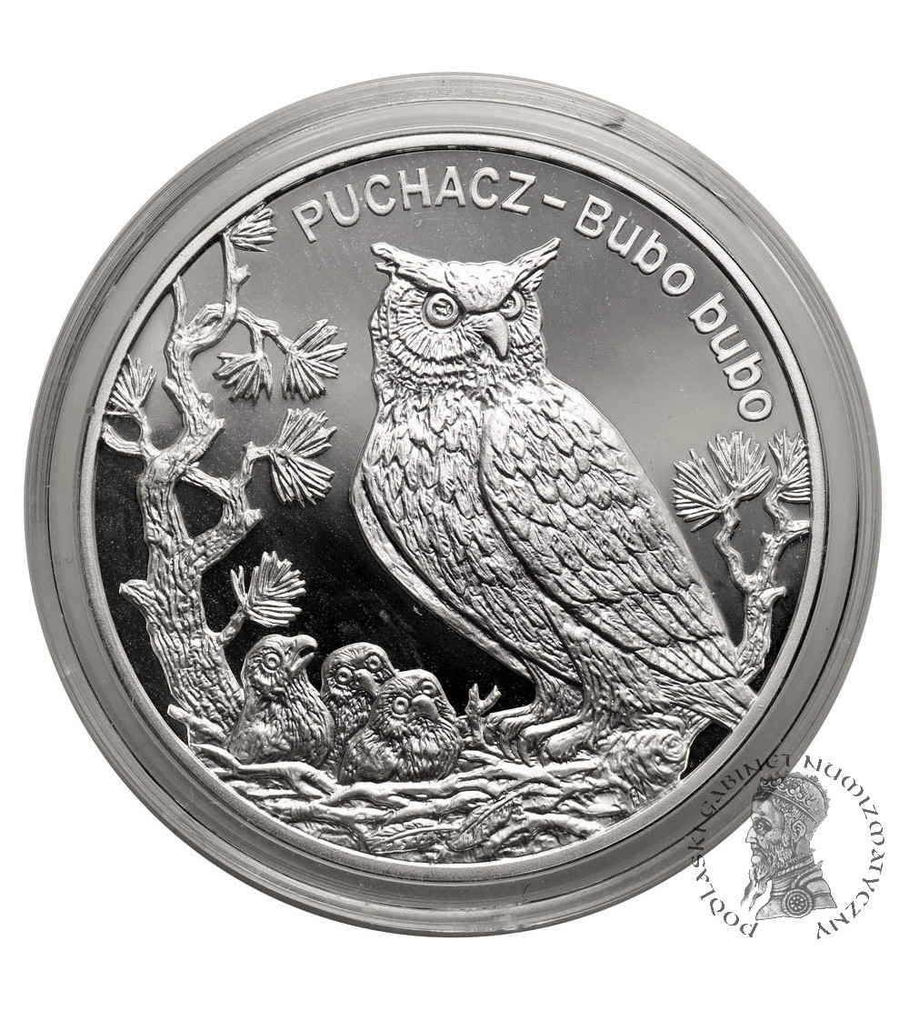 Poland. 20 Zlotych 2005, Eurasian eagle owl (Bubo bubo) - Proof