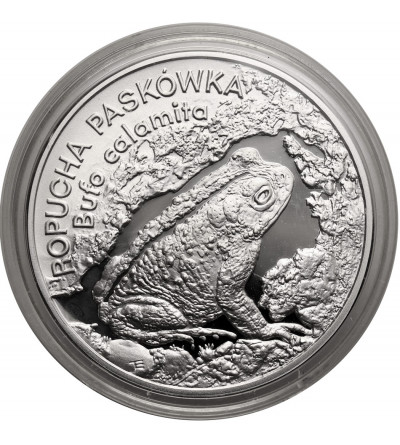 Polska. 20 złotych 1998, Ropucha Paskówka (Bufo calamita) - Proof