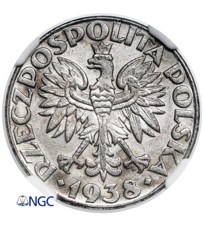 Polska, niemiecka okupacja. 50 groszy 1938, Warszawa, dla Generalnej Guberni - NGC AU 58