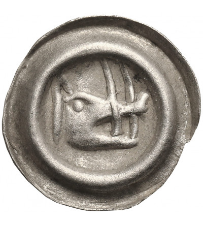 Poland. Silesia / Schlesien, Duchy of Schweidnitz. Brakteat, City Schweidnitz XV cen., head of a boar