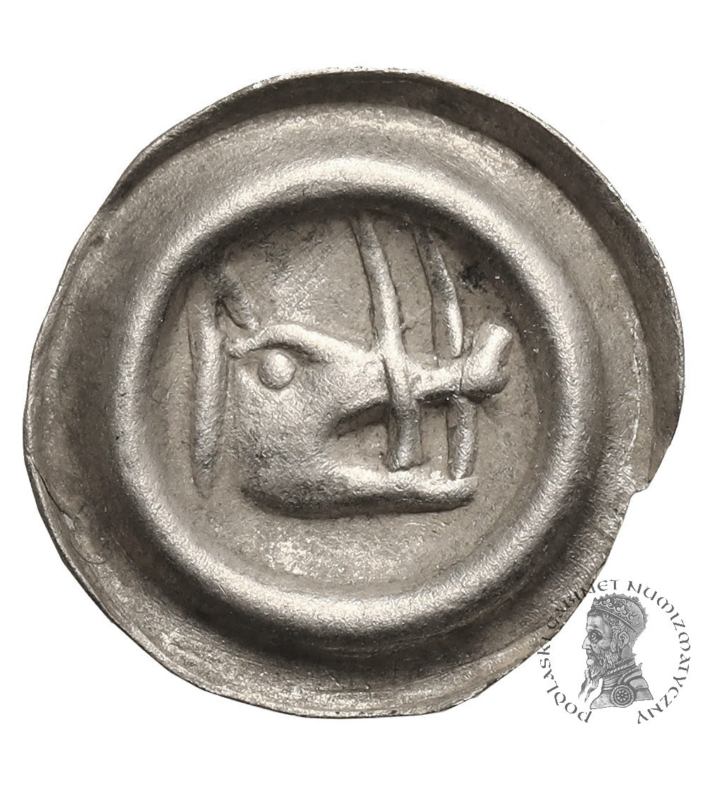 Poland. Silesia / Schlesien, Duchy of Schweidnitz. Brakteat, City Schweidnitz XV cen., head of a boar